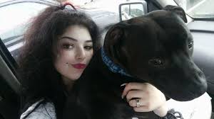 Putting a dog down for biting. Readers React To News A Staffordshire Bull Terrier Will Be Put Down After Biting Another Dog On Windermere Drive Worcester Worcester News