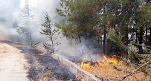 1 day ago · antalya'da manavgat'ın yeniköy mahallesi yakınlarındaki ormanlık alanda, saat 12.00 sıralarında çıkan orman yangını rüzgarın da etkisiyle kısa sürede yayıldı. Dersim De Orman Yanginlari