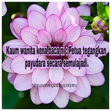 Blog tentang breast cream payudara, penjagaan payudara, krim pembesar payudara terbaik, cara tegangkan payudara, cara mengurut besarkan payudara, petua pejalkan payudara, cara. Pin On My Blog