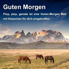 Guten Morgen Sprüche Und Gute Nacht Sprüche For Android Apk Download