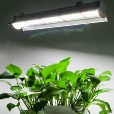 We did not find results for: China 2019 New Design Warm White Full Spectrum 160w Led Plant Grow Light China 160w Led Plant Grow Light Led Plant Light 160w