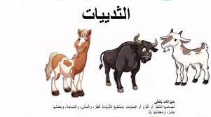pin by nabhan on دروس kg1 in 2021 movie posters poster movies