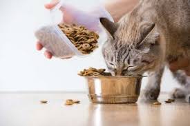 Best cat food for cats can be considered a cat food advisor site. Grain Free Cat Food Archives Best Cat Foods Advisor