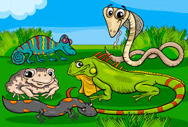 Resultado de imagen de IMAGENES SOBRE REPTILES PARA NIÃOS