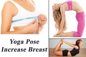 We did not find results for: 5 Yoga Poses That Help You Enlarge Breast Size Freemium World
