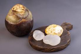 Image result for Borassus