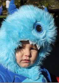 Zonta's Fantasy Forest