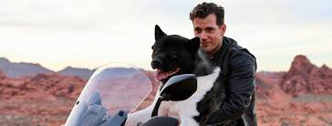 Henry william dalgliesh cavill was born on the bailiwick of jersey, a british crown dependency in the channel islands. Henry Cavill Home Facebook