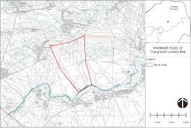 Image result for Decorsea schlechteri