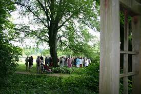 Zum thema garten gibt es viele spannende bücher [foto: Rotbuche Trauerbuche Farnblattrige Buche Im Stadtpark Gutersloh