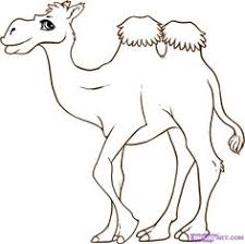 A drawing of a camels face in front view. Camel