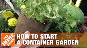 There's something here for every setting and every style, including a meadow in a box, a pond in a pot, a simple salad garden, and a combination that will attract hummingbirds. How To Start A Container Garden The Home Depot
