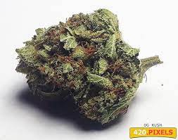 Hindu kush seeds develop highly resinous buds that are sticky and ideal for hash making. Og Kush Sorteninformationen Cannaconnection Com
