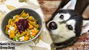 Thanksgiving dog treats are easy and fun to make, and a great way to spend time with your dogs! How To Make Thanksgiving Dinner For Dogs Diy Dog Treats 126 Youtube