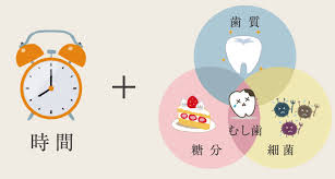 ãããæ­¯ã®åå ãã®ç»åæ¤ç´¢çµæ