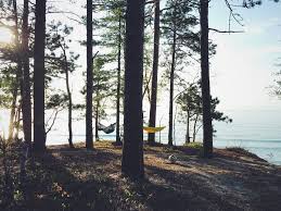 Maybe you would like to learn more about one of these? Colorful Destinations For Fall Camping In Michigan Michigan