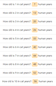 How often do cats live to be 20 years old? How Old Is Your Cat In Human Years All Things 81082 Facebook