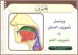 আরব হ রফ র ম খর জসম হ ১ আল জ উফ الج وف islam facts iphone wallpaper quran