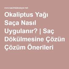 Okaliptus Yagi Saca Nasil Uygulanir Sac Dokulmesine Cozum Onerileri Sac Saglik Guzellik