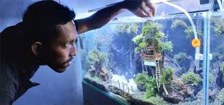 Siapa sih yang tak kenal aquarium, salah satu tempat yang populer dijadikan dari bahan jenis kaca. Saat Ini Bisnis Diminati Di Pekalongan Radar Pekalongan Online