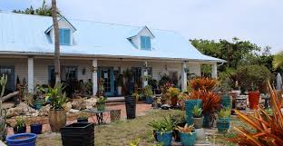 Maybe you would like to learn more about one of these? Beach Pottery Etc In Fort Myers Beach Must Do Visitor Guides