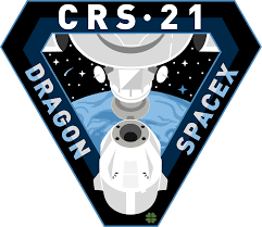 My current logo idea, it's a dragon in the shape of a j (if you hadn't noticed? Crs 21 Mission Spacex Updates