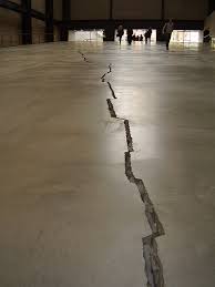 Few latin american artists have had such recognition. Colombia Peace Process And Brexit In The Art Of Doris Salcedo Artist And Educator