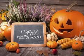 Image result for happy halloween