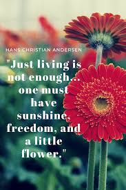 Just Living Is Not Enough One Must Have Sunshine Freedom And A Little Flower Just Living Is Not Enough One Must Have Sunshine Freedom And A Little Flower Hans Christian Andersen In 2020