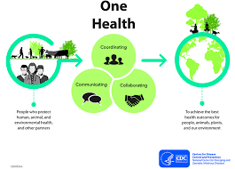 One Health Inforgraphic First Health Health Health Goals Motivation