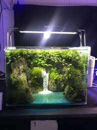 We did not find results for: Aquascaping Community Community Aquarium Facebook