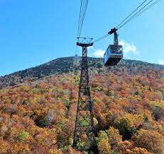 Image result for Hakkoda Walk