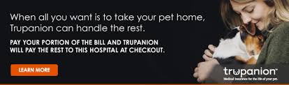 Trupanion pet insurance provides medical insurance for the life of your pet with any veterinarian in the united states, canada, and puerto rico. Vet Specials Reed Animal Hospital