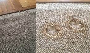 Carpet Repairs Berwick | Call (+61) 482 077 521 | Same Day Carpet  Restoration