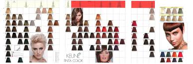 Keune Tinta Color Shades Chart In 2019 Natural Hair Color