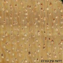 Image result for Canarium schweinfurthii