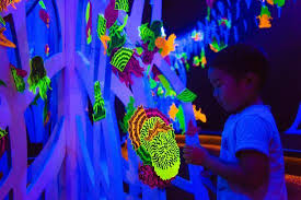 Pin On Installation Art