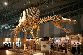 Saurophaganax Vs Spinosaurus! End Of Debate – Dino Rover