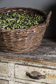 Davidelovatti Olives Harvest Interiors Aceituna Aceitunas Fotografia De Alimentos