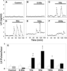 L h yeo co advocates solicitors community facebook. The Origin Of Gnrh Pulse Generation An Integrative Mathematical Experimental Approach Journal Of Neuroscience