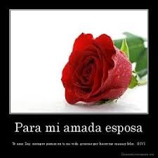 Imagenes Con Frases De Amo Ami Esposa Imagenes De Amor Imagenes De Amor Gratis Frases De Te Amo Te Amo Esposo