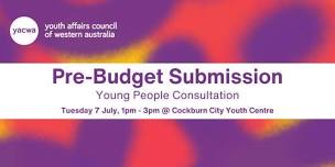 Young People Pre-Budget Submission Consultations