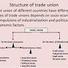 Trade unions can represent members in seeking legislative redress or betterment of trade practices by airing out its members' collective grievances through various means, provided requirements to such means are satisfied6. Https Encrypted Tbn0 Gstatic Com Images Q Tbn And9gcrtvg2wklkxbiv8bp9vszzdytojkguqcfuvx L Fo9n59kwbkbi Usqp Cau