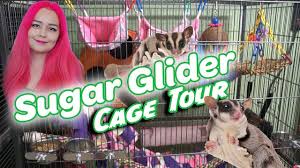 Diy sugar glider undershirt :) pouch sewn front with zipper. How To Choose The Right Size Cage For Sugar Gliders Pet Keen