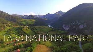 It is a natural place full of hikking paths, canyons, cliffs, lookouts or tara river. Tara National Park Serbia Youtube