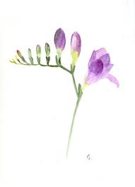 Purpura Freesia Acuarela Tarjetas Hechas A Mano Etsy Watercolor Cards Watercolor Greeting Cards Flower Drawing