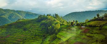 Check spelling or type a new query. Uganda Und Ruanda Aktivplus World Insight Erlebnisreisen