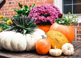 We did not find results for: How To Make A Pumpkin Planter Green Side Up Garden Gifts