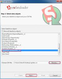 Data Loader Update How To Update Fields By Data Loader