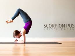 Scorpion Pose Vrischikasana Workout Trends